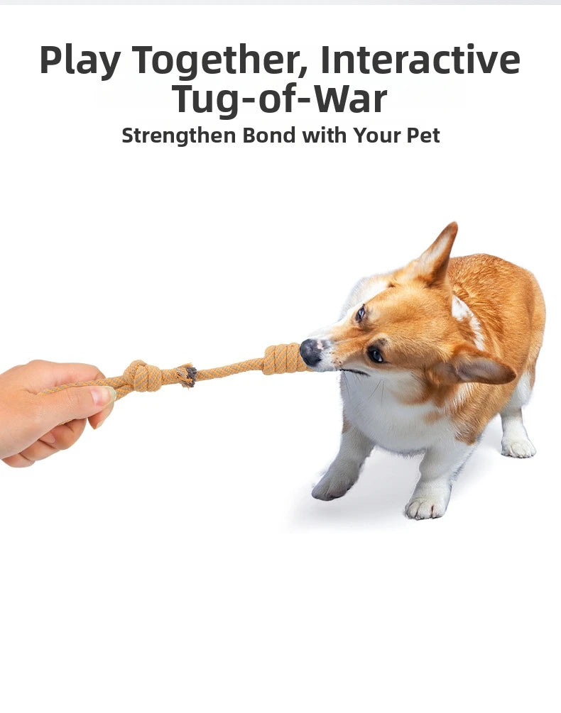 Interactive Toys For Dog Cat Pet Supplies Dogs Accessories Stuff Small Animal Balls Pets Products Everything Indestructible