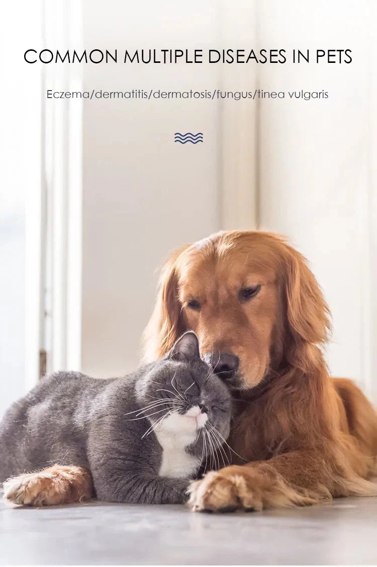 Special Skin Care Ointment for Dog And Cat Interdigital Inflammation - Medicated Healing Balm for Pet Footpad Wounds
