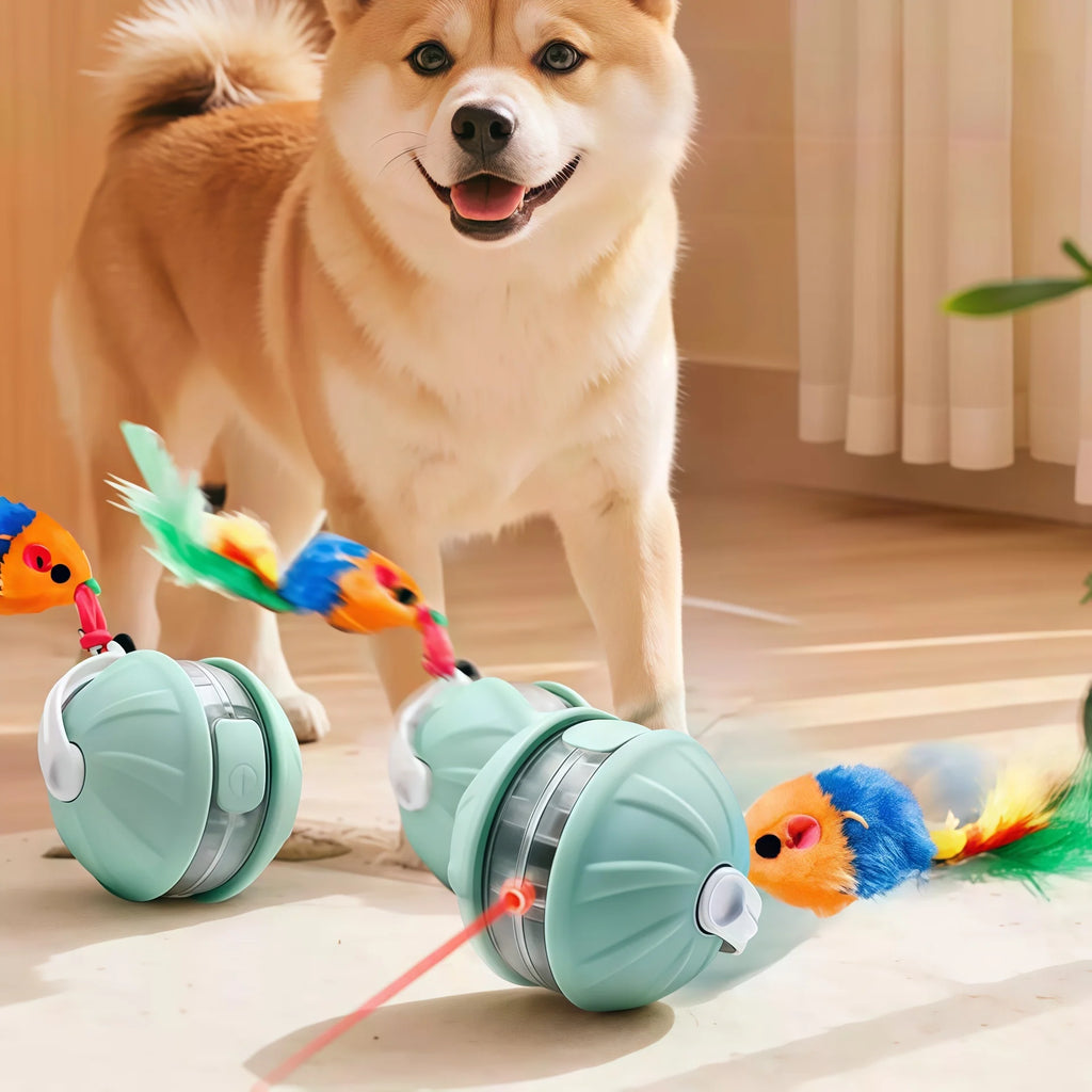 Dog Interactive Ball Toys Infrared Automatic Rolling Ball Tail Rechargeable Smart Pet Electric Toy Cat Training Imitate Mouse