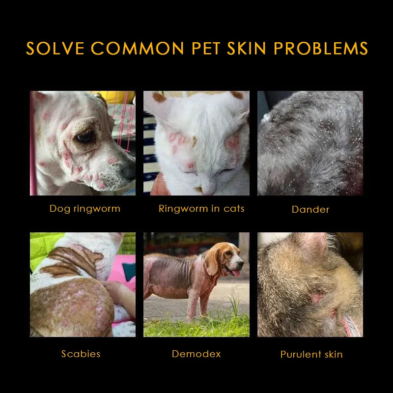 Special Skin Care Ointment for Dog And Cat Interdigital Inflammation - Medicated Healing Balm for Pet Footpad Wounds