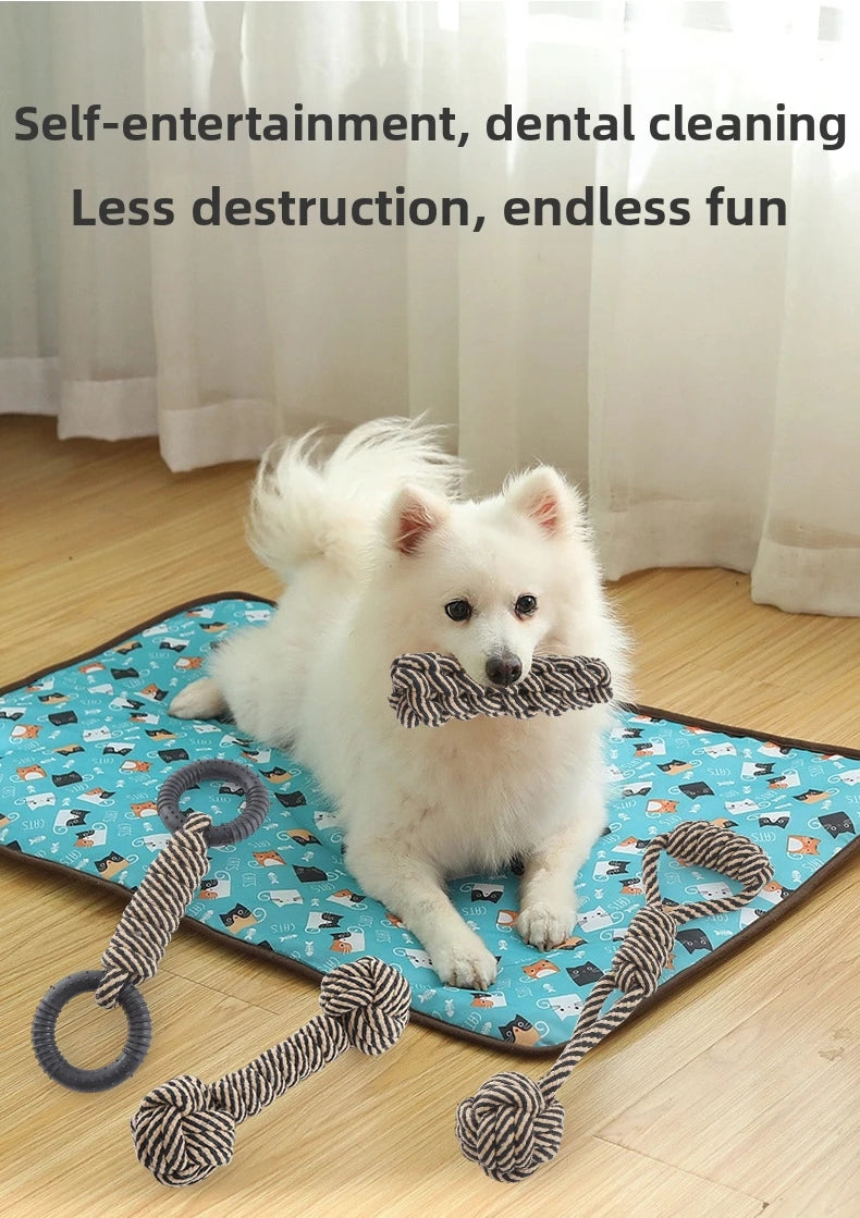 Interactive Toys For Dog Cat Pet Supplies Dogs Accessories Stuff Small Animal Balls Pets Products Everything Indestructible