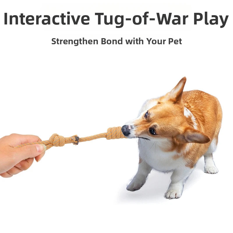 Interactive Toys For Dog Cat Pet Supplies Dogs Accessories Stuff Small Animal Balls Pets Products Everything Indestructible