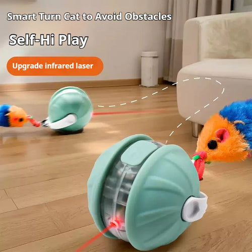 Balle interactive automatique pour chat et chien – rechargeable avec queue animée