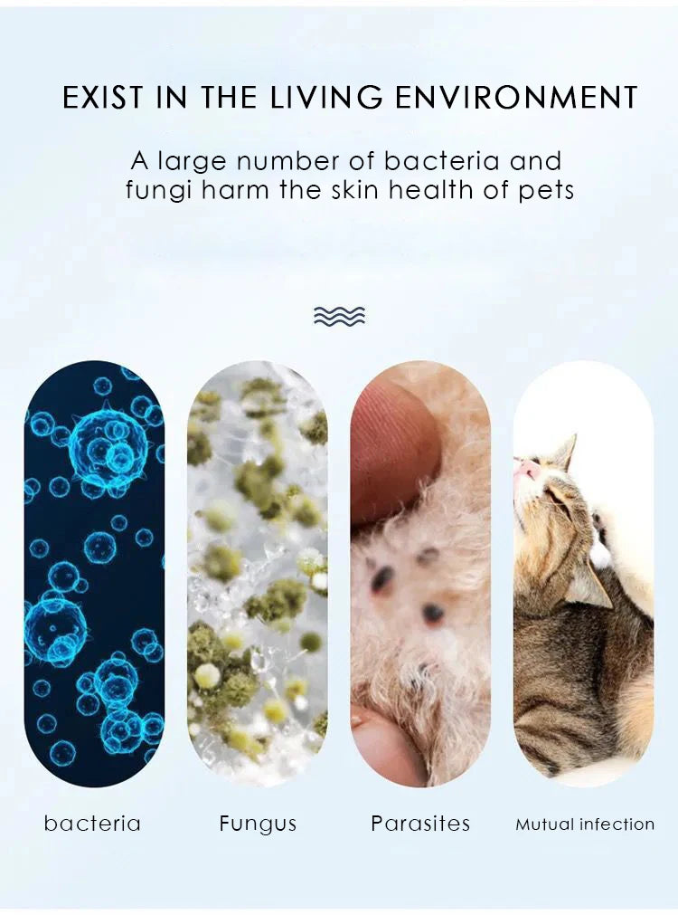 Special Skin Care Ointment for Dog And Cat Interdigital Inflammation - Medicated Healing Balm for Pet Footpad Wounds