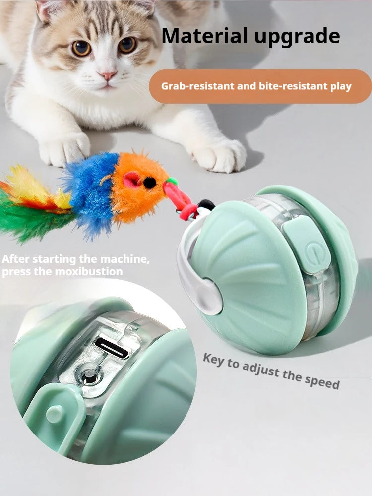 Dog Interactive Ball Toys Infrared Automatic Rolling Ball Tail Rechargeable Smart Pet Electric Toy Cat Training Imitate Mouse
