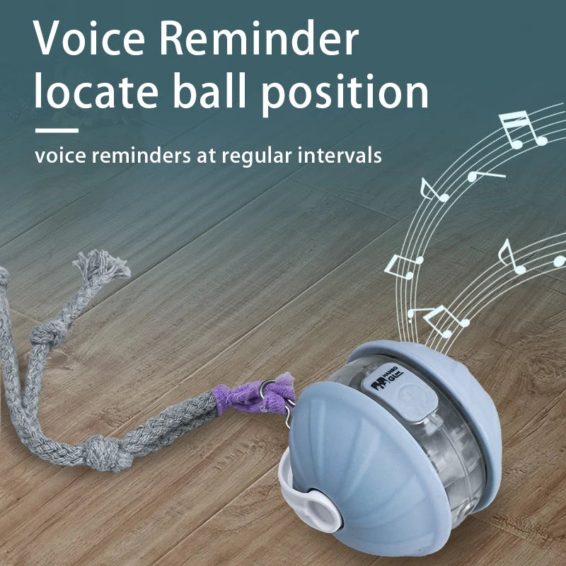 Dog Interactive Ball Toys Infrared Automatic Rolling Ball Tail Rechargeable Smart Pet Electric Toy Cat Training Imitate Mouse
