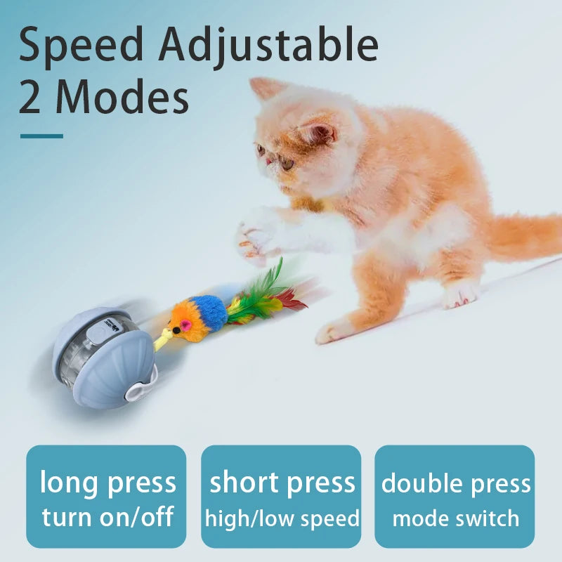 Dog Interactive Ball Toys Infrared Automatic Rolling Ball Tail Rechargeable Smart Pet Electric Toy Cat Training Imitate Mouse